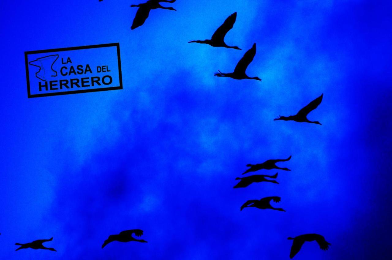 La Casa Del Herrero El Poyo 외부 사진